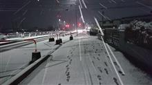 今朝は・・・