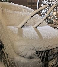 出勤前に雪掻きしてきました〜☃️😰
