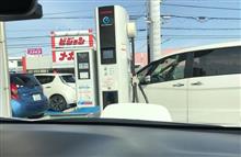 冬場は、ダメですね⤵︎