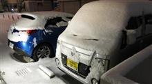 真っ白な道路の巻。
