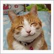 「　　笑　　」　～　Ver.９