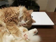 チラ裏日記 チラ裏日記