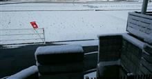 雪積もりました⛄