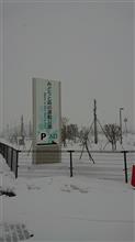 みどりと森と吹雪の運動公園へGO!!(oﾟ▽ﾟ)o＆たまにはシャレオツなイタリアンなど(○&#180;∀｀○)