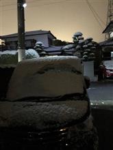 雪積もった(￣▽￣)
