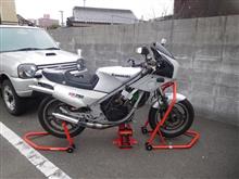 忍耐?(笑)…。(かつお菜・味噌ミンチ鍋) 忍耐?(笑)…。(かつお菜・味噌ミンチ鍋)