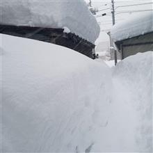 もう何回目の光景⁉ もう何回目の光景⁉