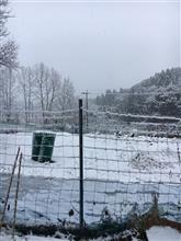 雪中3度目 雪中3度目