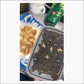 げーほげほ、ごーほごほ