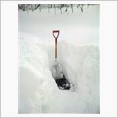 大雪ネタ連投