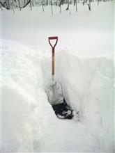大雪ネタ連投
