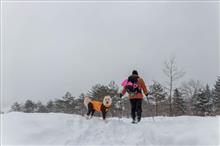岐阜県へ雪遊びに行ってきました(*^_^*)　～ひるがの高原スノーシュー編～