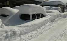 豪雪一過。 豪雪一過。