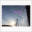 防鳥対策第３弾（電力引き込み線）