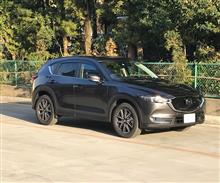 洗車 洗車