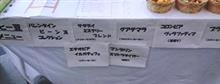 17-18　スキーNO.45 イベントの日