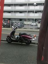 もう一台のシャドウの写真が出てきた！