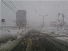 もぅ雪ゎお腹いっぱいですゎ