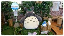 ちょっとそこまで("⌒∇⌒") ちょっとそこまで("⌒∇⌒")