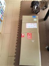 つい 安かったのですが(^_^;) つい 安かったのですが(^_^;)