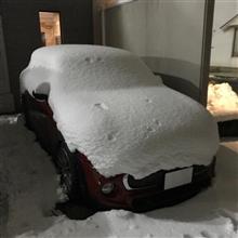 半月ぶりの運転とショップでチューニング 半月ぶりの運転とショップでチューニング