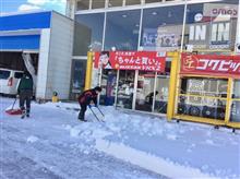 ついに大雪❗️一面真っ白です。