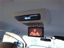 暖かかったので車弄りをしました。