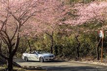 ブルー・ピンク・オレンジ・パープル、ちょっぴり春色西伊豆ドライブ ブルー・ピンク・オレンジ・パープル、ちょっぴり春色西伊豆ドライブ