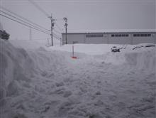 雪に翻弄された2週間… 雪に翻弄された2週間…