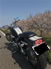 現在の仕様 現在の仕様