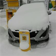 プレマシーに乗ってきた。 プレマシーに乗ってきた。