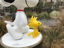 日帰り東京弾丸旅💦(^◇^;)〜 日帰り東京弾丸旅💦(^◇^;)〜