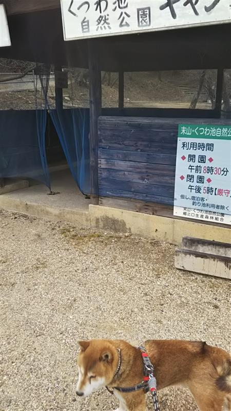 柴犬レオ くつわ池公園の靴はアジダスとアダムスのロックワン２ｕ V Swec780のブログ Swec780 西方爺の車とロックとオヤジギャグ みんカラ
