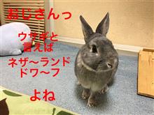 ね〜がいを込めてっ♪ここに分けあいたいっ♪ ね〜がいを込めてっ♪ここに分けあいたいっ♪