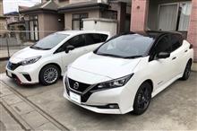 ZE1 リーフの作業