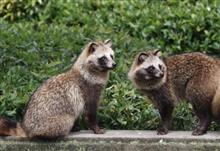 今日は、あまり仕事しなかったです。。。 今日は、あまり仕事しなかったです。。。