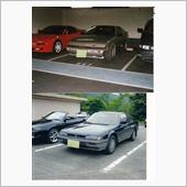 コレが市場にいるんだもん、売 ...
