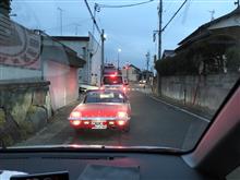 初めて見たかも! 初めて見たかも!
