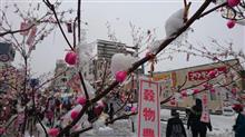 大館アメッコ市