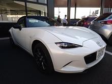 ロードスターの色