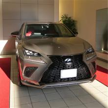 新しい銀ちゃんです(Lexus NX 乗り換えです) 新しい銀ちゃんです(Lexus NX 乗り換えです)