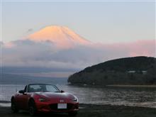 春らしい 春らしい