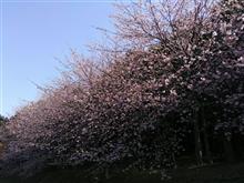 今日、思う事 今日、思う事