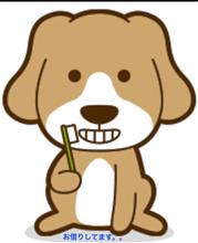 主治医を変えるのってなかなかヨイショがいる。。(; ̄ェ ̄) 主治医を変えるのってなかなかヨイショがいる。。(; ̄ェ ̄)