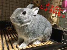 シケた男に♪用〜はないなんてっ♪ シケた男に♪用〜はないなんてっ♪