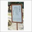 桜の標本木
