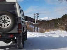 暖かくなったので起きてみました。