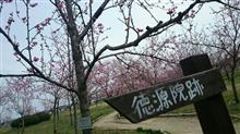 14連勤終了からの~、みん友さんとまったりデート(///∇///) 14連勤終了からの~、みん友さんとまったりデート(///∇///)