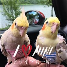 祝・みんカラ歴1年！