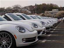 Beetle Meets In Tochigi Beetle Meets In Tochigi